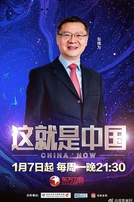 少妇被又大又粗又爽毛片久久黑人